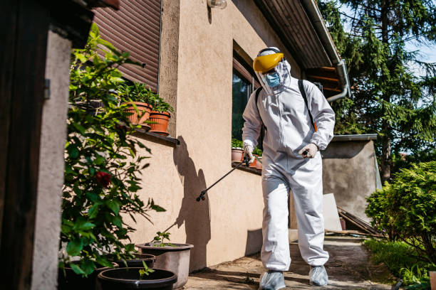 Best Flea Control Services  in Middlefield, OH