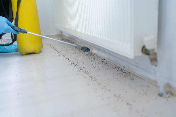 Best Best Pest Control Companies  in Middlefield, OH
