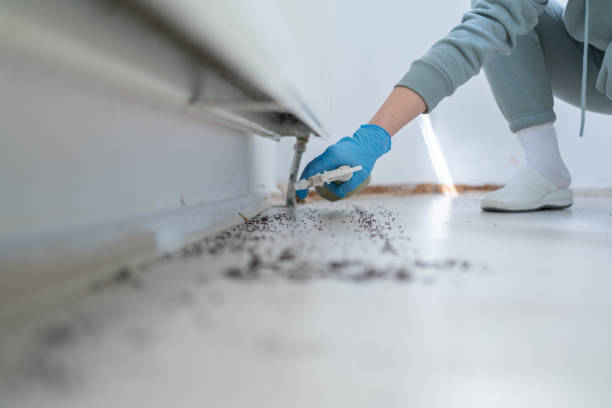 Best Emergency Pest Control  in Middlefield, OH